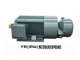 YRW系列無刷無環(huán)三相異步繞線電機(jī)（IP44）